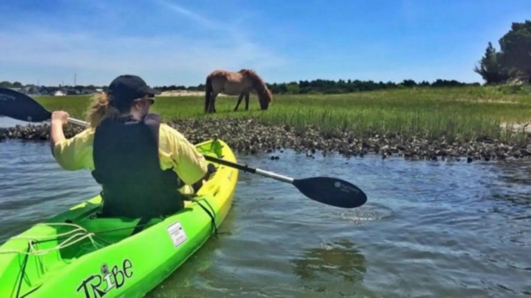 Beaufort Paddle